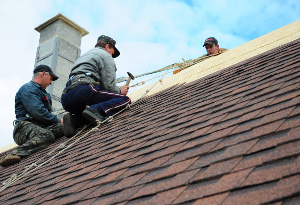 Best Roof Maintenance Services  in Brass Castle, NJ