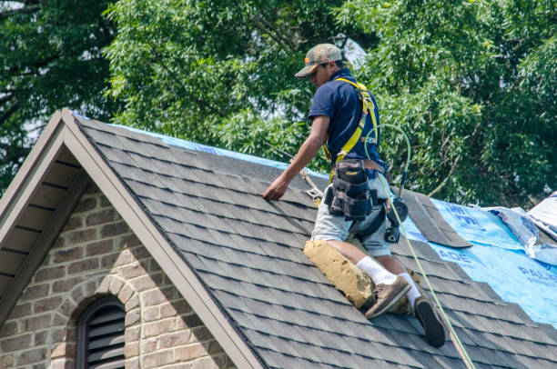 Best Roof Gutter Cleaning  in Brass Castle, NJ